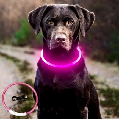 collier-lumineux-pour-chien-secu-rose