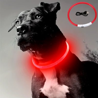 collier-lumineux-pour-chien-secu-rouge