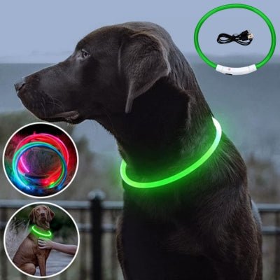 collier-lumineux-pour-chien-secu-vert