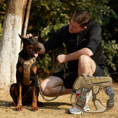 Doberman maître harnais anti traction entraînement khaki