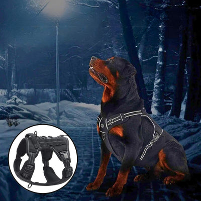 Rottweiler harnais anti traction réfléchissant nuit noir