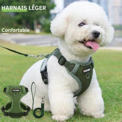 harnais-petit-chien-romy-vert