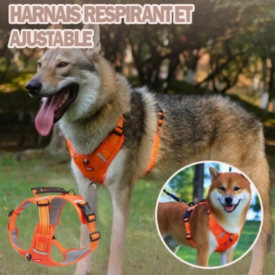 chien loup harnais pour chien ajustable orange