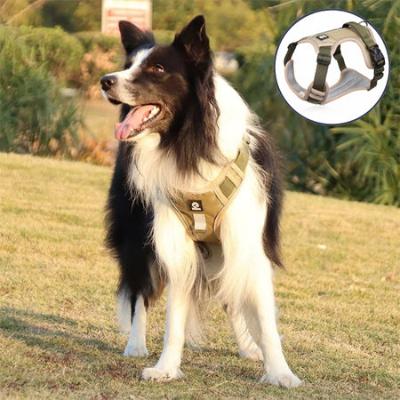 Border collie harnais pour chien khaki