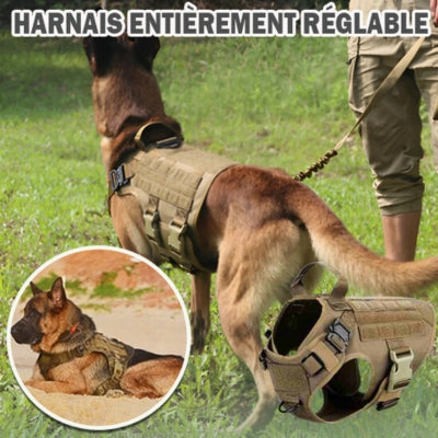 Berger allemand harnais tactique chien réglable khaki