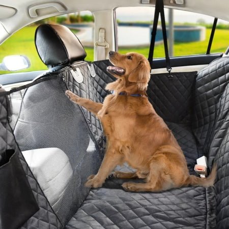 housse-voiture-chien-caniprotect