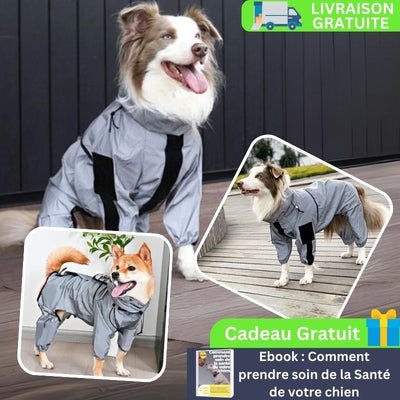 imperméable-chien-cadeau