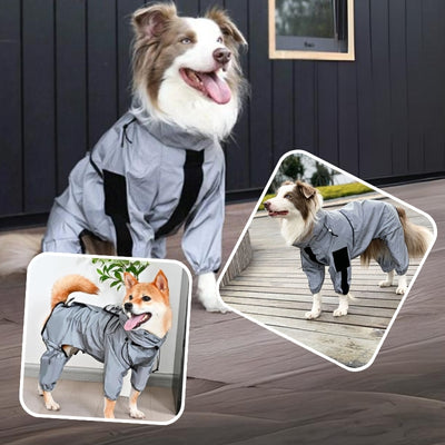 imperméable chien pour tous les chiens