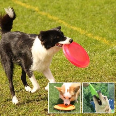 jouet-pour-chien-aéroplaisir-bouche