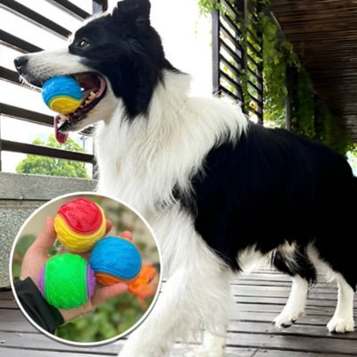 jouet-pour-chien-chewy-balles