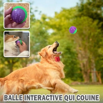 jouet-pour-chien-chewy-mauve