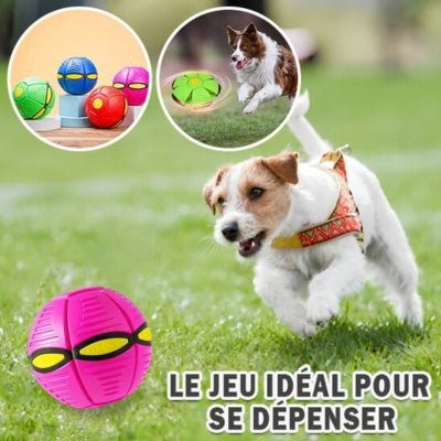 jouet-pour-chien-ovniball-rose