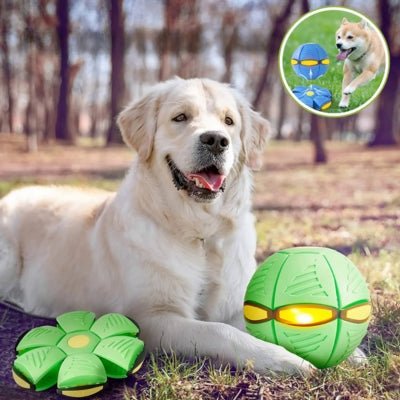 jouet-pour-chien-ovniball-vert