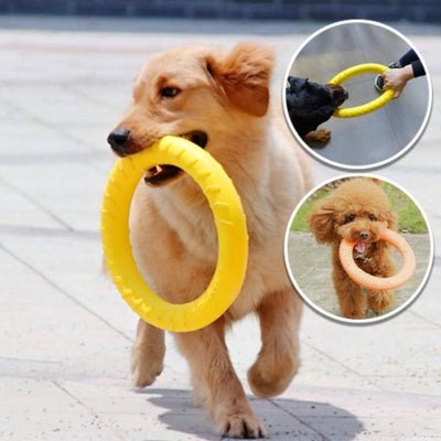 jouet-pour-chien-powerring-jaune