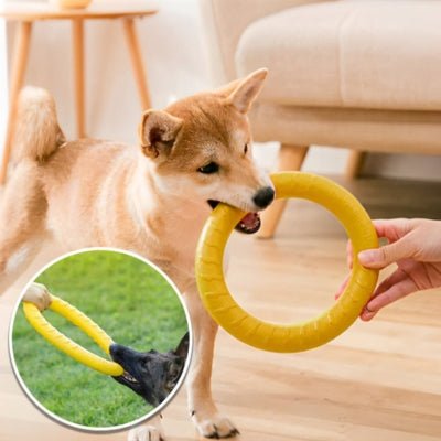 jouet-pour-chien-powerring-mordre