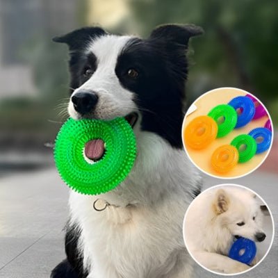 jouet-pour-chien-spike-vert