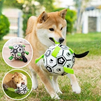 jouet-pour-chien-woof-sport