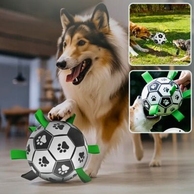 jouet-pour-chien-woofkick-jeu