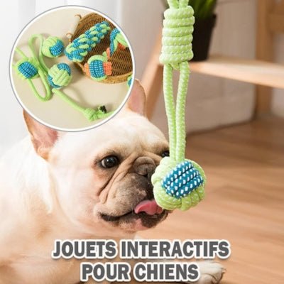 jouets-pour-chien-chewrope-interactifs