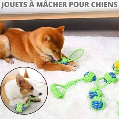 jouets-pour-chien-chewrope-macher