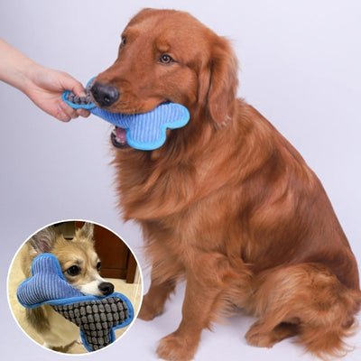 jouets-pour-chien-squeaky-bleu