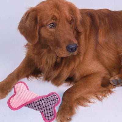 jouets-pour-chien-squeaky-rose