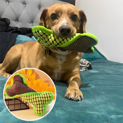 jouets-pour-chien-squeaky-vert