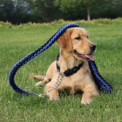 laisse-chien-strongleash-bleunoir