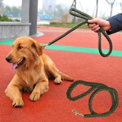 laisse-chien-strongleash-couché