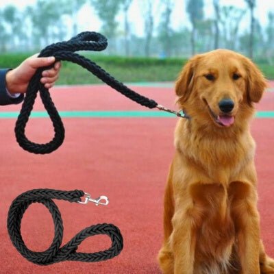 laisse-chien-strongleash-golden