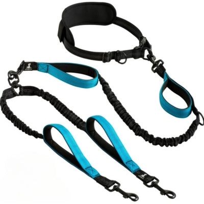 laisse main libre chien bleu