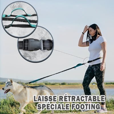 laisse-main-libre-chien-pure-footing