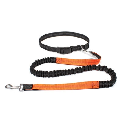 laisse main libre chien orange