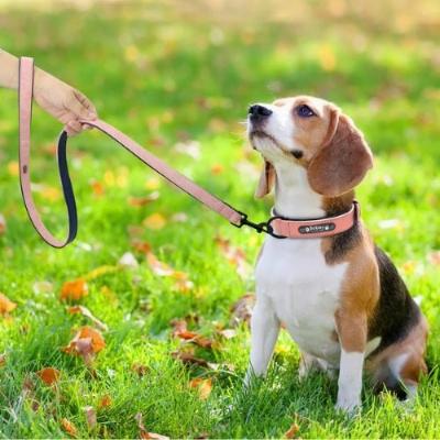 laisse-pour-chien-beagle