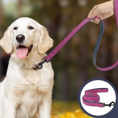 laisse-pour-chien-cuir-violet