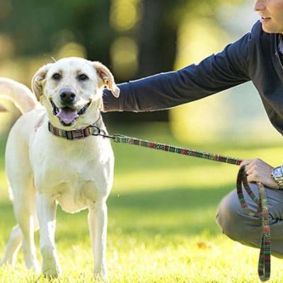 laisse-pour-chien-geometrie