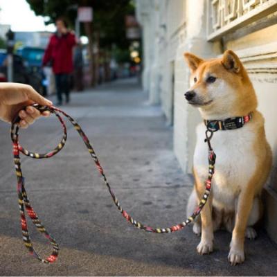 laisse-pour-chien-indienne