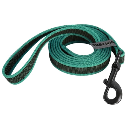 laisse pour chien turquoise