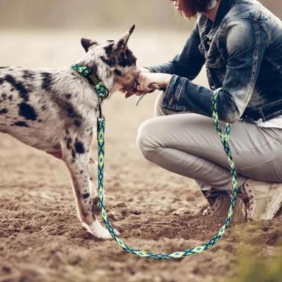 laisse-pour-chien-losange-blanc