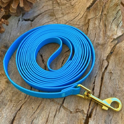 longe pour chien grande bleu