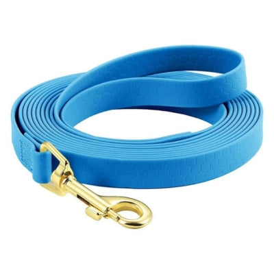 longe pour chien bleu ciel