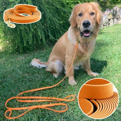 Golden gazon longe pour chien