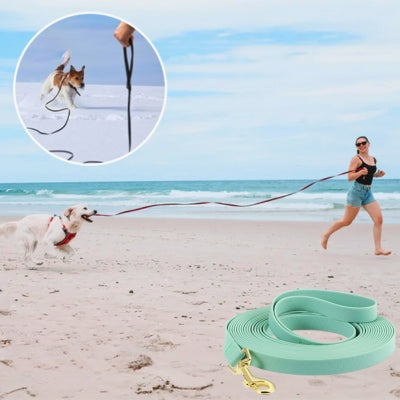 Course plage longe pour chien turquoise