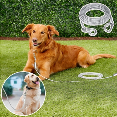 Retriever couché gazon longe pour chien