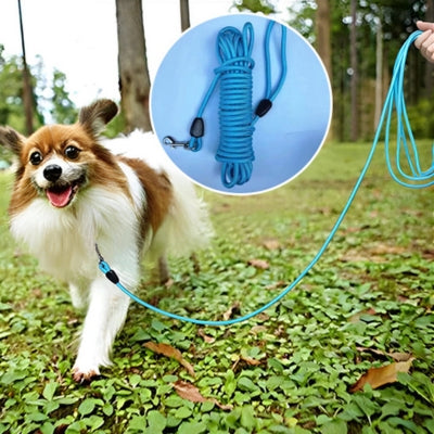 Épagneul nain balade longe pour chien bleu