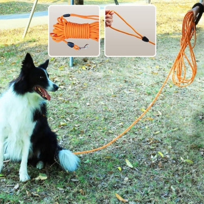 Border collie parc longe pour chien orange