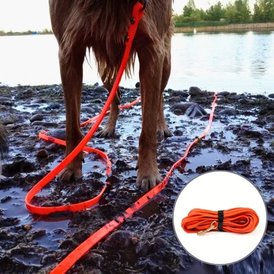 longe pour chien orange boue imperméable