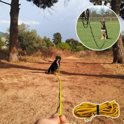 longe pour chien jaune longue distance
