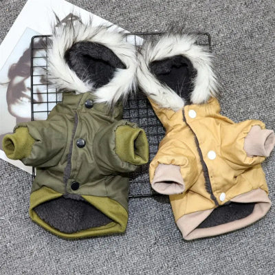 manteau chien devant vert kaki