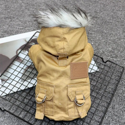 manteau chien kaki